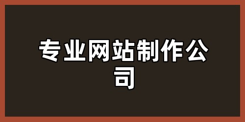 专业网站制作公司